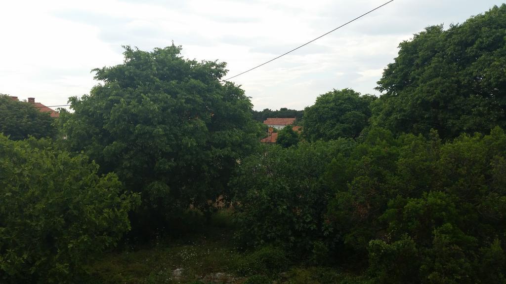 Apartments Lola Biograd Na Moru Zewnętrze zdjęcie